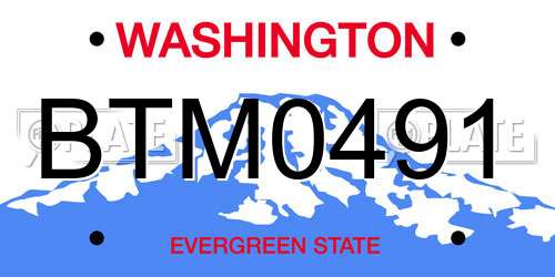BTM0491 Washington License Plate