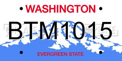 BTM1015 Washington License Plate
