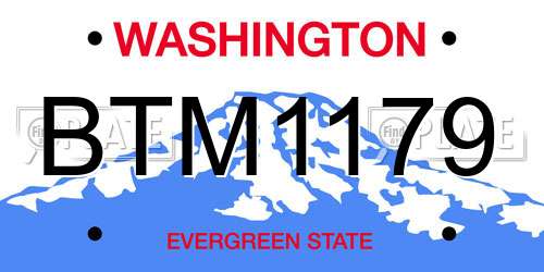 BTM1179 Washington License Plate