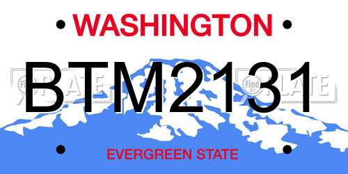 BTM2131 Washington License Plate