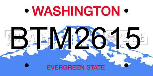 BTM2615 Washington License Plate