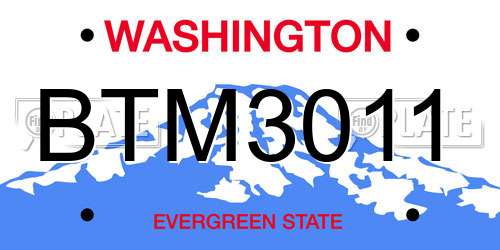 BTM3011 Washington License Plate