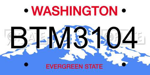 BTM3104 Washington License Plate