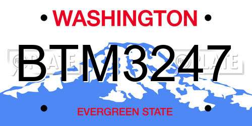 BTM3247 Washington License Plate