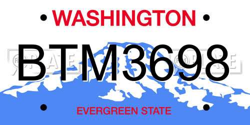 BTM3698 Washington License Plate