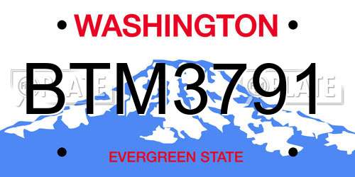 BTM3791 Washington License Plate
