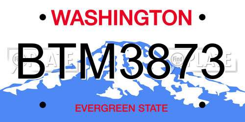 BTM3873 Washington License Plate