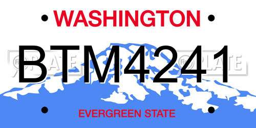 BTM4241 Washington License Plate