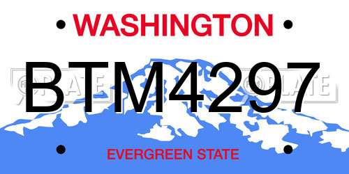 BTM4297 Washington License Plate