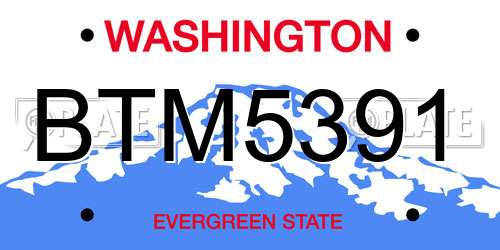 BTM5391 Washington License Plate