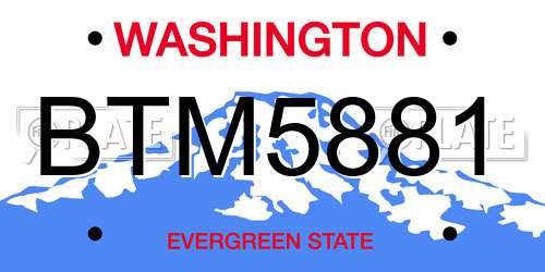 BTM5881 Washington License Plate