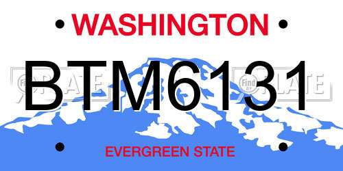 BTM6131 Washington License Plate
