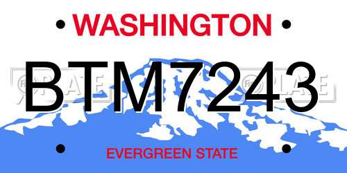BTM7243 Washington License Plate