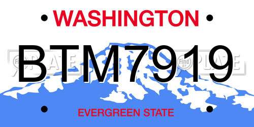 BTM7919 Washington License Plate