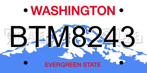 BTM8243 Washington License Plate