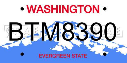 BTM8390 Washington License Plate