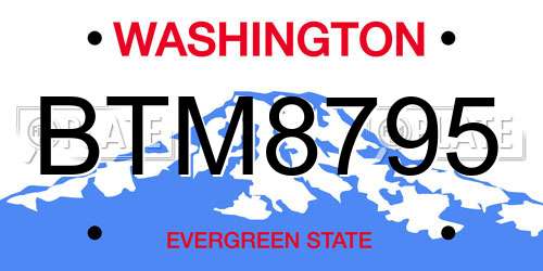 BTM8795 Washington License Plate