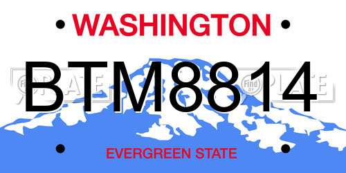 BTM8814 Washington License Plate