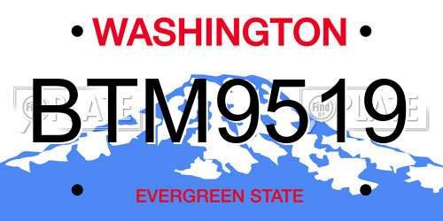 BTM9519 Washington License Plate