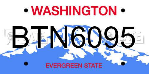 BTN6095 Washington License Plate