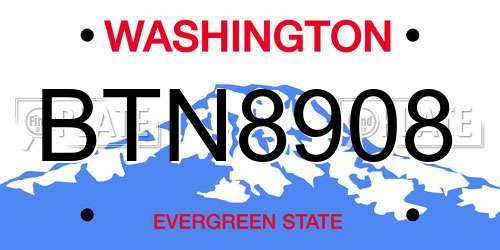 BTN8908 Washington License Plate