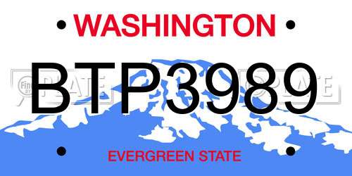 BTP3989 Washington License Plate