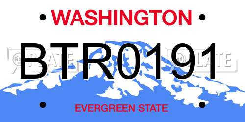 BTR0191 Washington License Plate