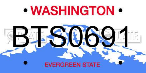 BTS0691 Washington License Plate