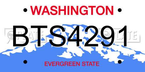 BTS4291 Washington License Plate
