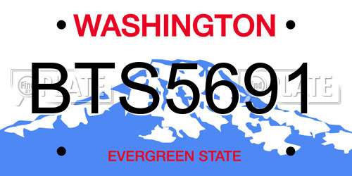 BTS5691 Washington License Plate