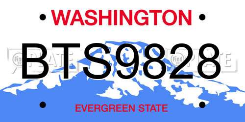 BTS9828 Washington License Plate