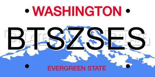 BTSZSES Washington License Plate