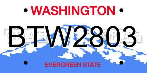 BTW2803 Washington License Plate