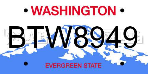 BTW8949 Washington License Plate