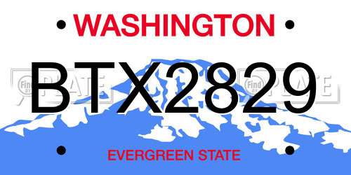 BTX2829 Washington License Plate
