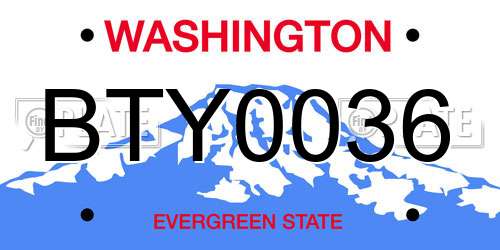 BTY0036 Washington License Plate