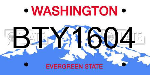 BTY1604 Washington License Plate