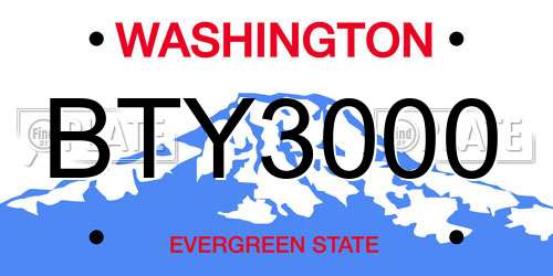 BTY3000 Washington License Plate