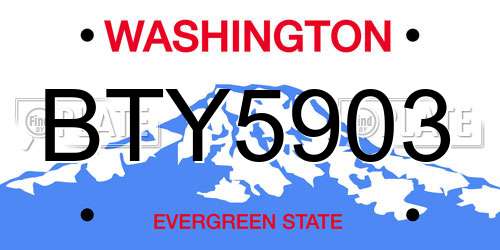 BTY5903 Washington License Plate