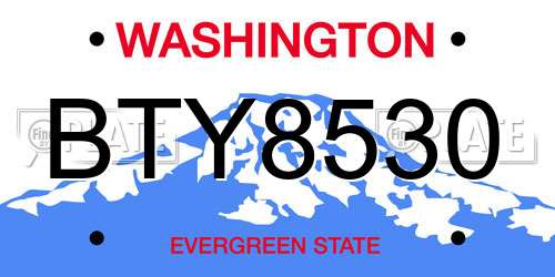 BTY8530 Washington License Plate