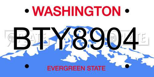 BTY8904 Washington License Plate
