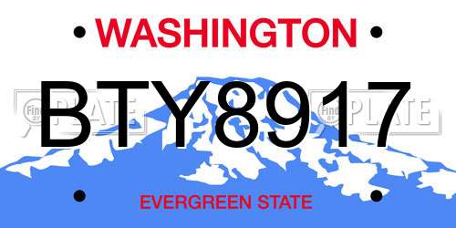 BTY8917 Washington License Plate