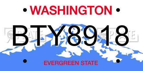 BTY8918 Washington License Plate