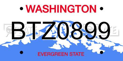 BTZ0899 Washington License Plate