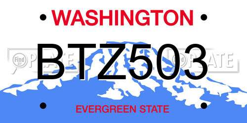 BTZ503 Washington License Plate
