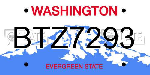 BTZ7293 Washington License Plate