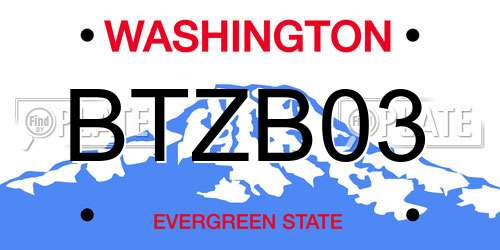 BTZB03 Washington License Plate