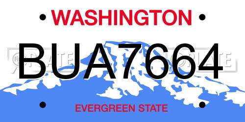BUA7664 Washington License Plate