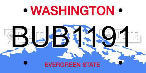 BUB1191 Washington License Plate