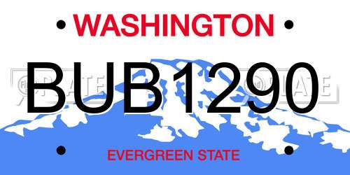 BUB1290 Washington License Plate